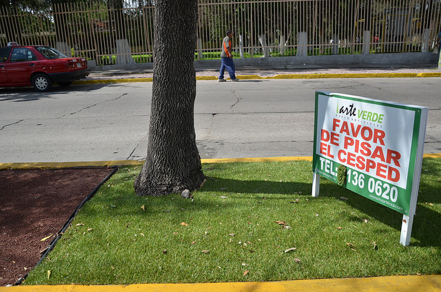 Llama organización civil al municipio capital a reconsiderar la colocación de pasto sintético