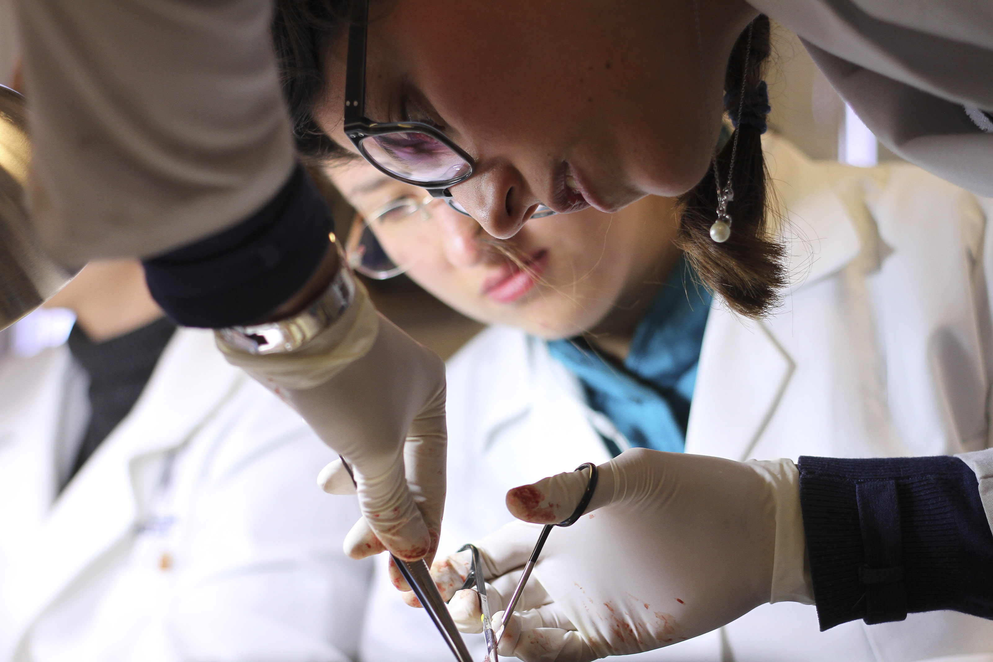 Alta demanda de egresados de carreras científicas por parte de empresas