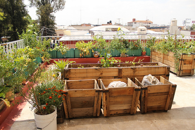 La ciudadanía debe tener un mayor empoderamiento de espacios públicos