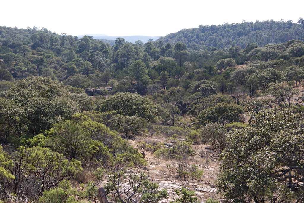 2 de noviembre de 2014