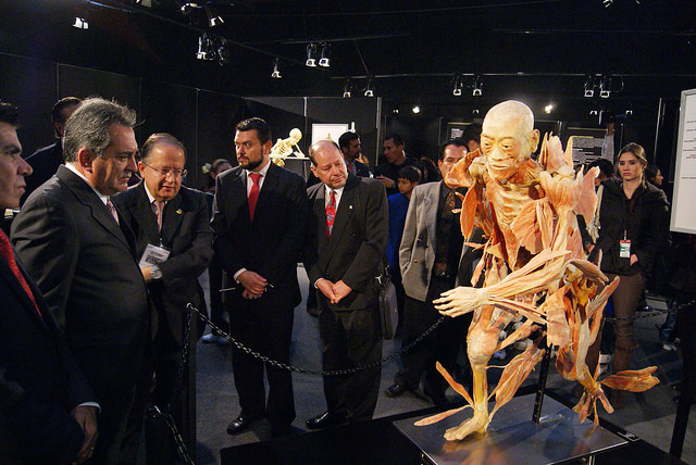 El Museo Descubre celebra su 18 Aniversario con acceso gratuito