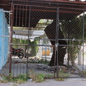 15729587272_ced3d5db32_z