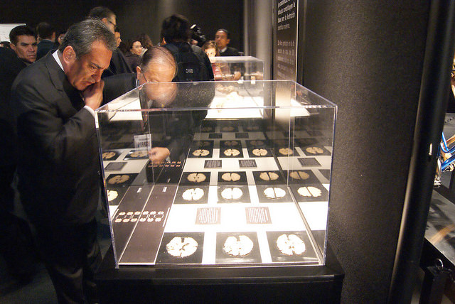 Reprocha el gobernador el desorden y la desacreditación al país