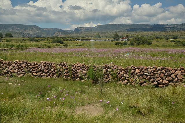Detienen proyecto de construcción de carretera en la Sierra Fría