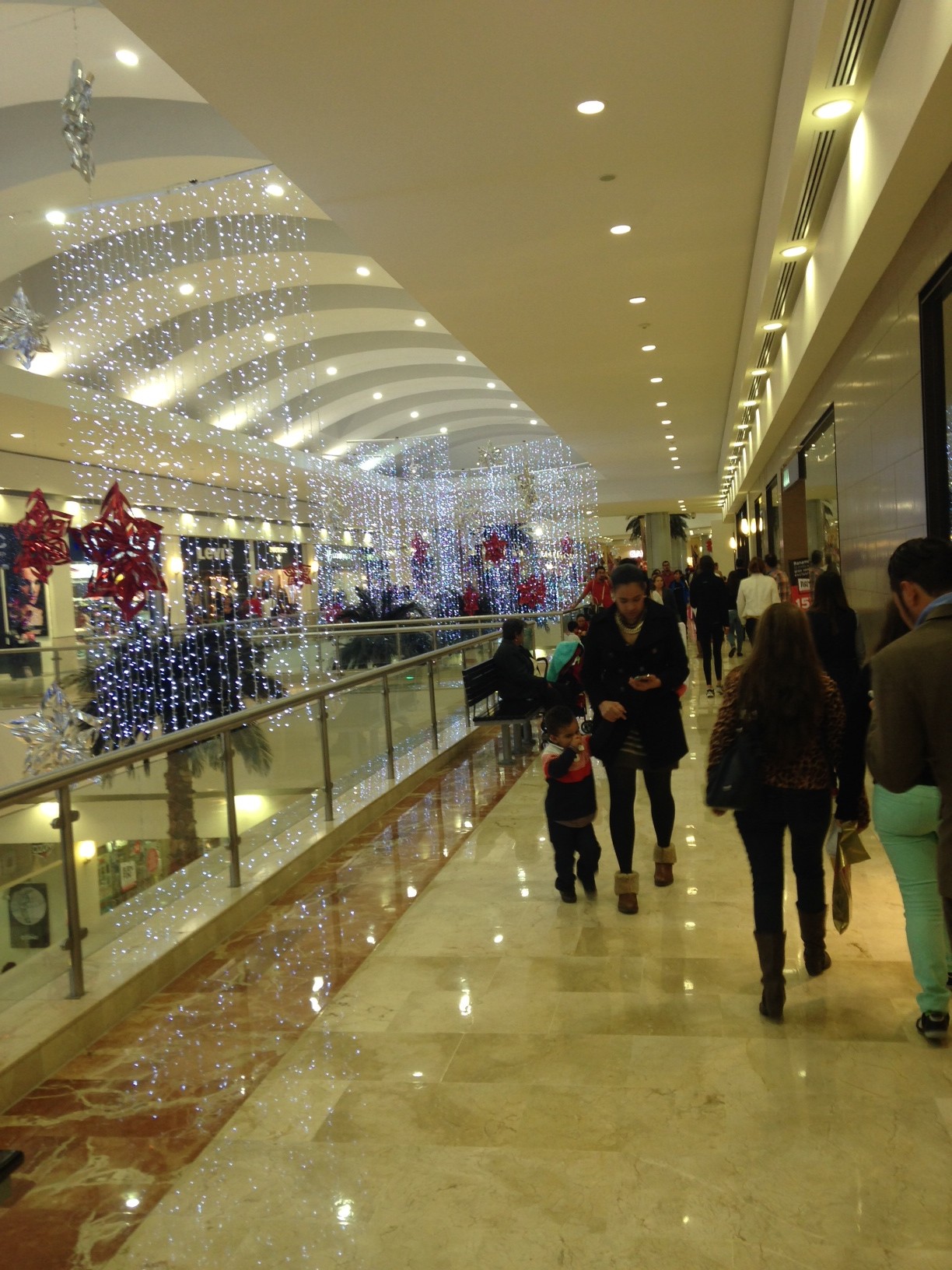 Lozano de la Torre en desacuerdo con el Buen Fin