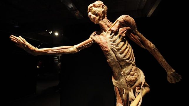 Exposición Our Body es administrada por privados