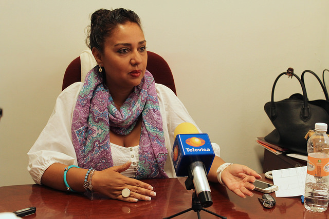 El 2014 fue la “curva de aprendizaje” en el Congreso, señala Sylvia Garfias