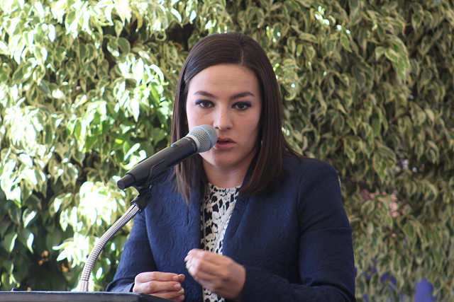 Drogadicción y delincuencia, principales problemáticas del Distrito XV