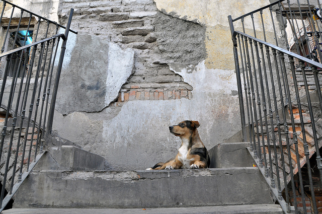 24 de diciembre de 2014