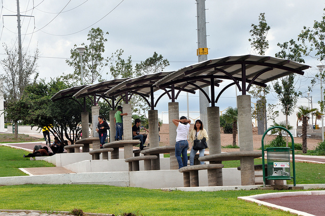 Incompleto el proyecto de la Línea Verde: Martín del Campo