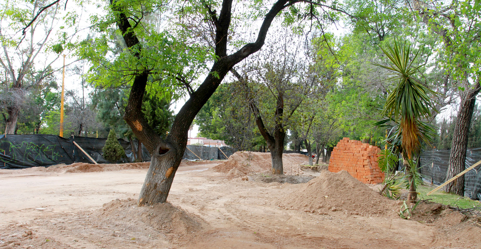 Rechaza Obras Públicas haber iniciado trabajos en La Alameda sin permisos