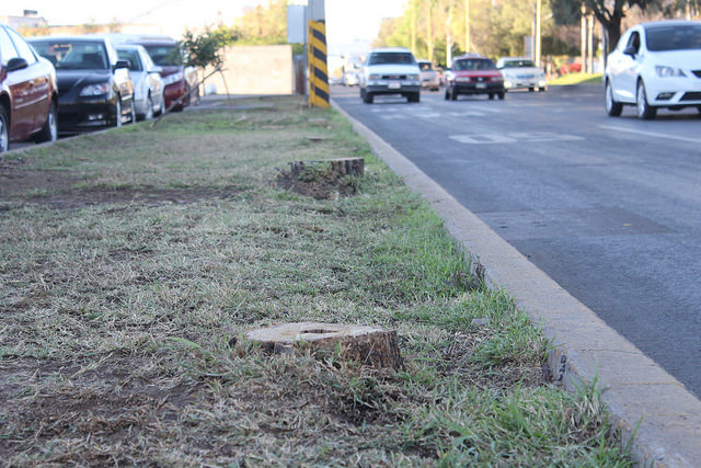 Argumenta municipio que obras en Alameda no necesitaron estudio de impacto ambiental