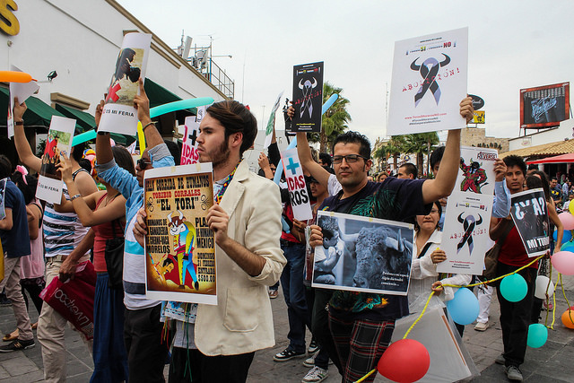 La CEDH no debería llamar a que no se hagan marchas o manifestaciones
