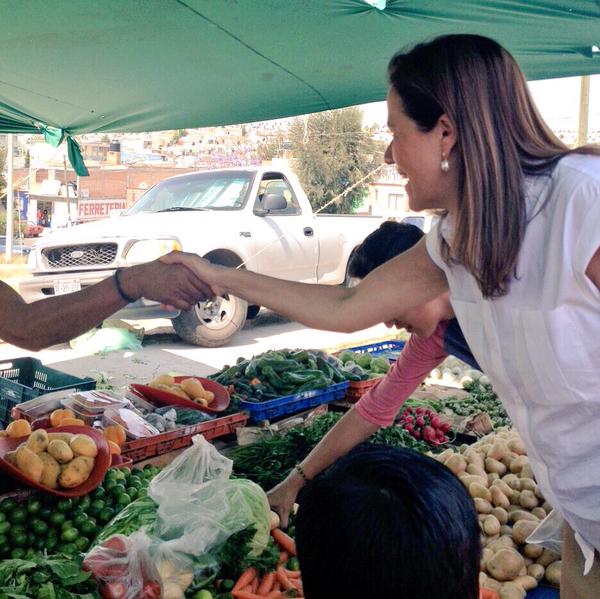 La vocación del político es servir a través de una función pública, no servirse de ella