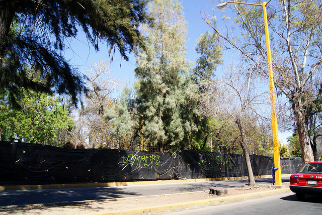 El único permiso para intervenir en Alameda fue otorgado por el mismo municipio