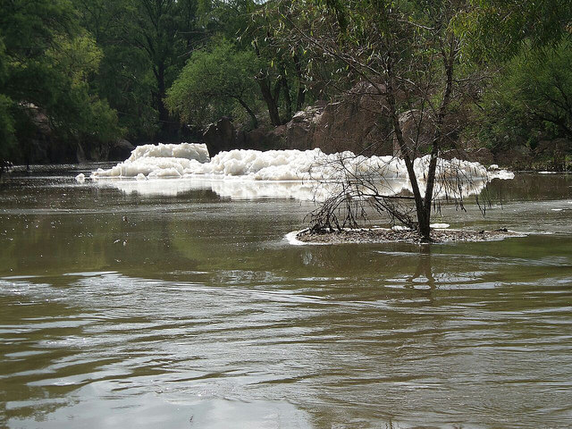 Granjas Fátima es responsable de la contaminación de El Sabinal