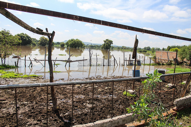 Sin riesgo, la capital de desbordamiento del río San Pedro