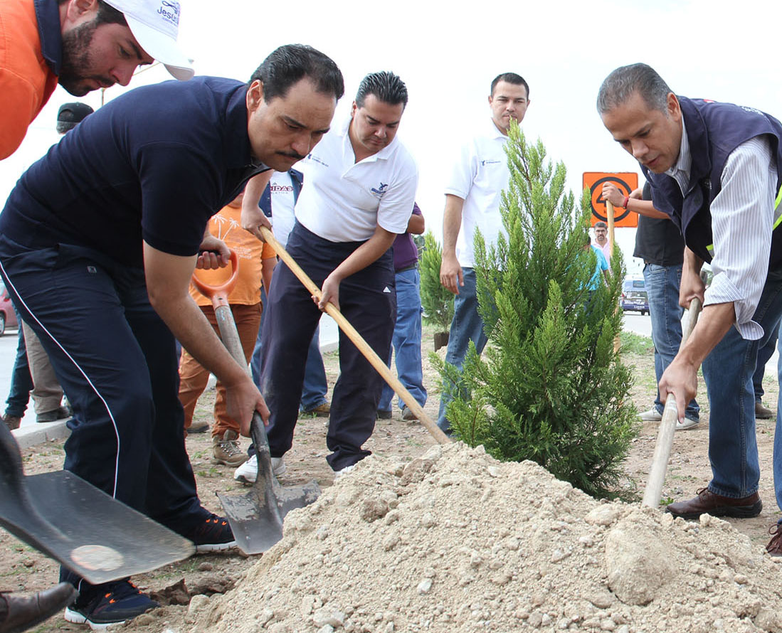 Se han plantado 463 árboles de diferentes especies en varios puntos de la ciudad