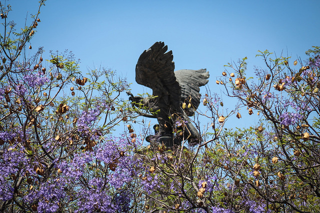 Alcalde acataría iniciativa para reubicar ambulantes de Plaza de Armas