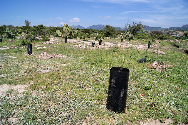 Entregó Conafor el Inventario Estatal Forestal y de Suelos