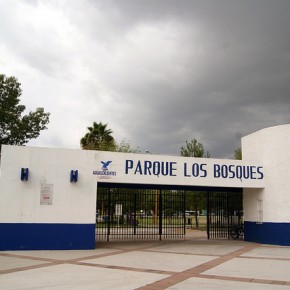 20556805008_ab6d21eb92_z