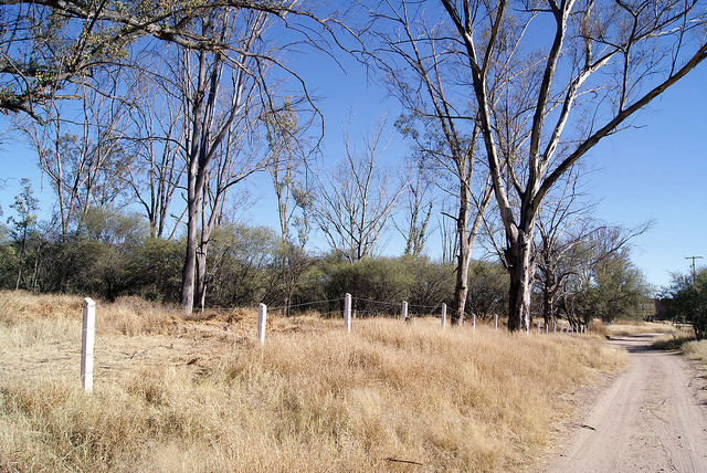 El gobernador ordena públicamente protección para La Pona