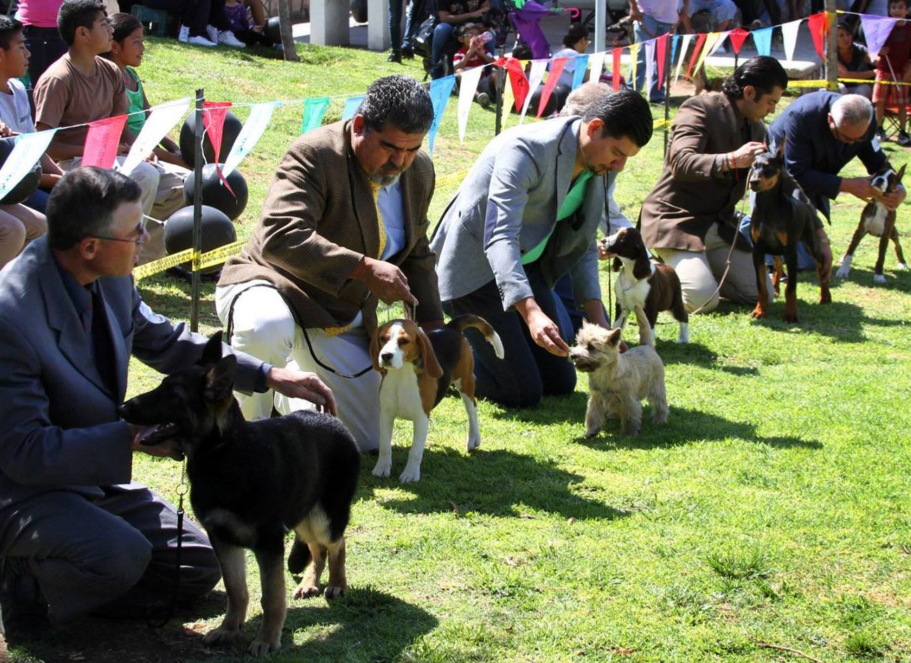 Realizan Expo Can en la Línea Verde