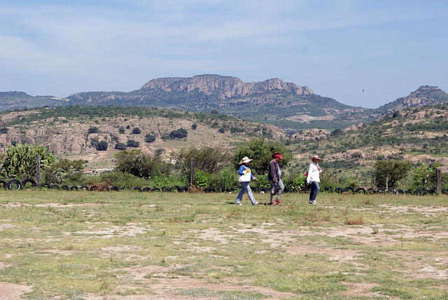 Dependencias refuerzan convocatorias para la educación ambiental y cuidado de las especies