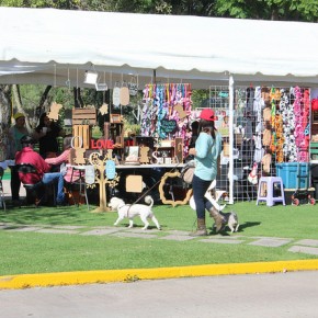 21477308233_b323f5db5b_z