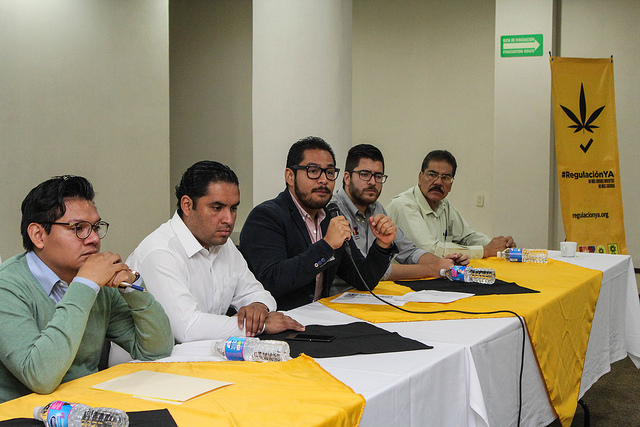 Arranca PRD campaña informativa para la regularización de la mariguana en México