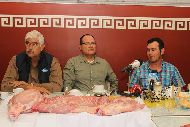 Comunicación entre ganaderos y Seguridad Pública ha reducido el abigeato