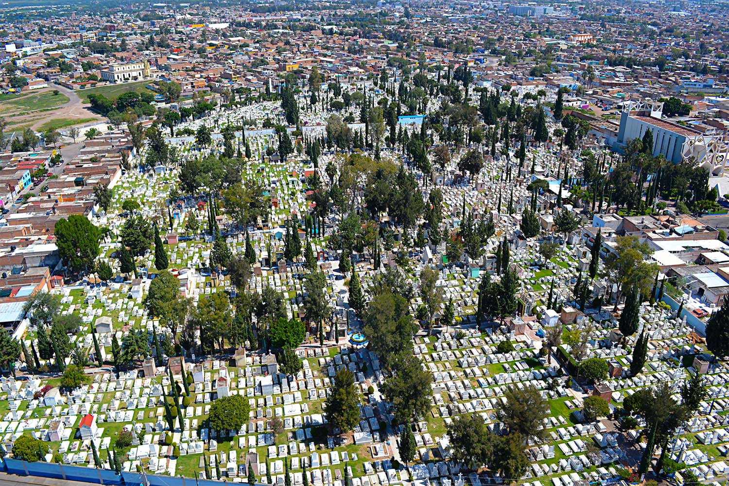 Restringirán giros comerciales para tianguis de Día de Muertos del próximo año
