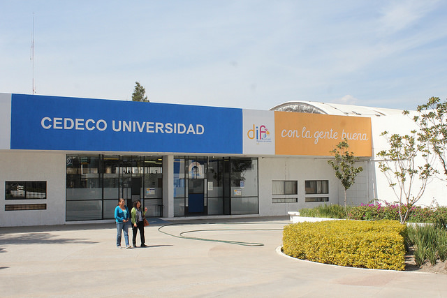 Recomiendan asistir al sicólogo con mayor frecuencia para prevenir  problemas de salud mental