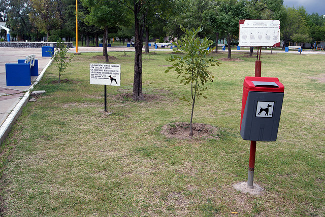Suspenden proyecto de parque para perros