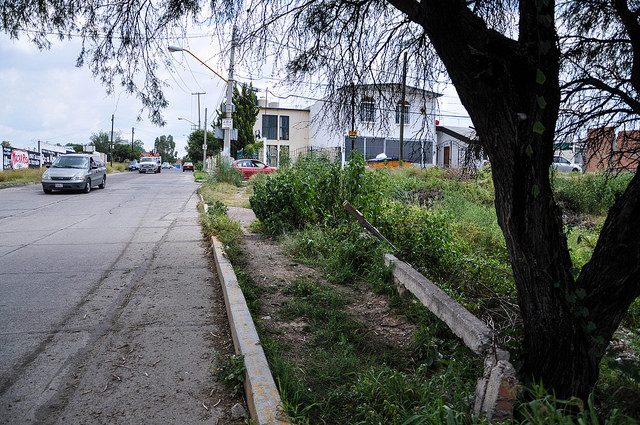 En latente riesgo de colapsar, puente de San Ignacio: UAA