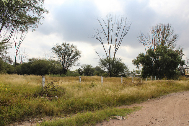 Urge alcalde a gobierno estatal y federal a solucionar tema de La Pona
