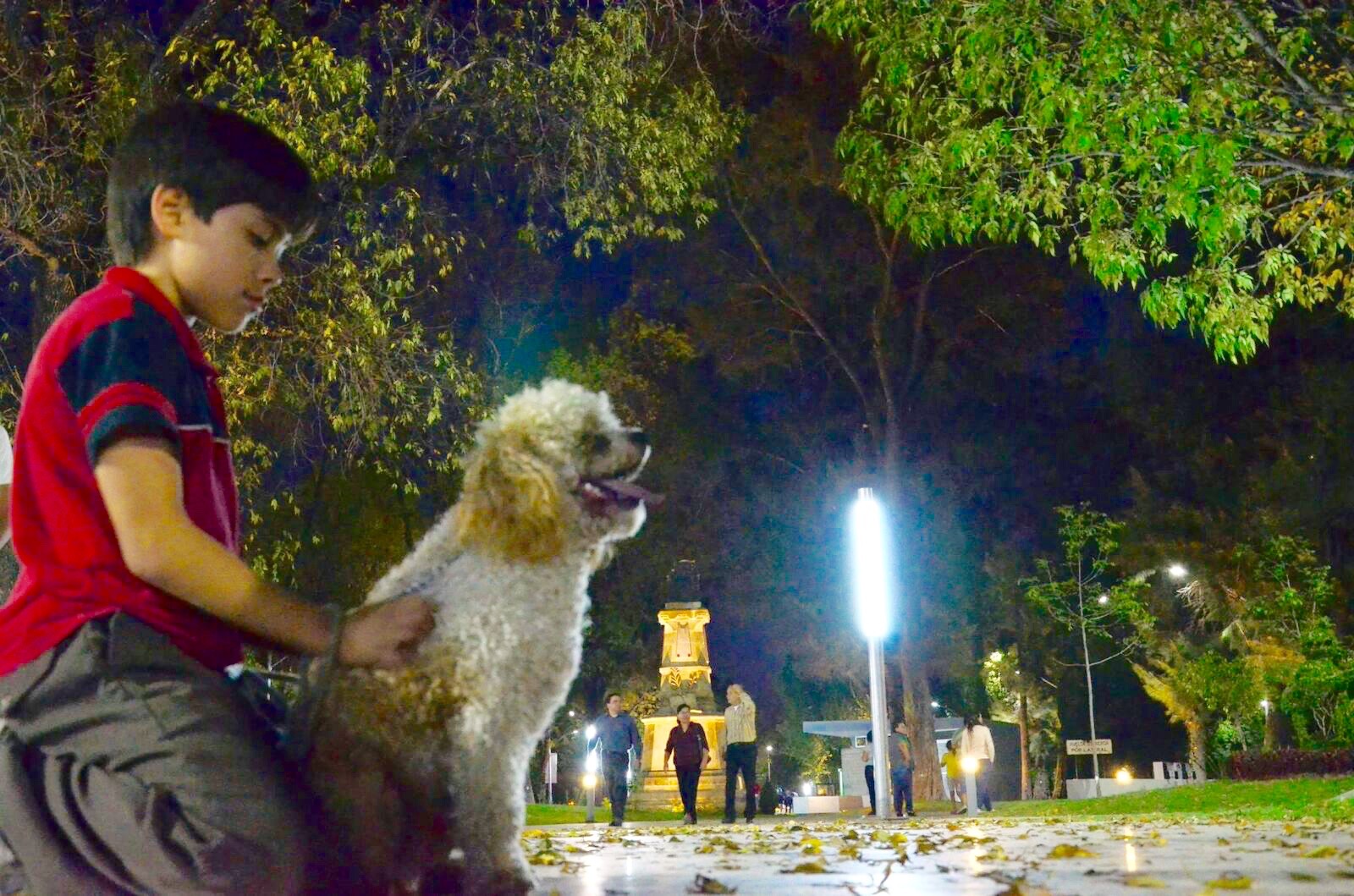 Por lo menos 18 animárboles de la Alameda están en malas condiciones