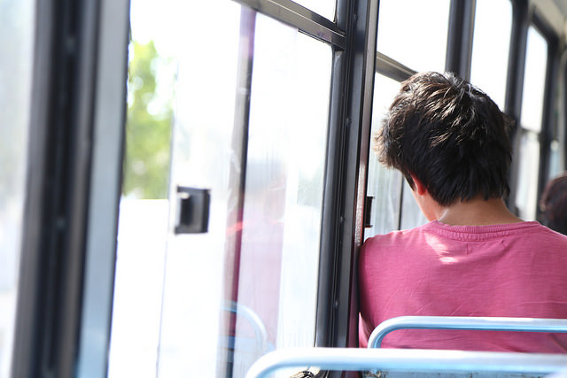 En cinco años no se ha desarrollado ningún programa de movilidad