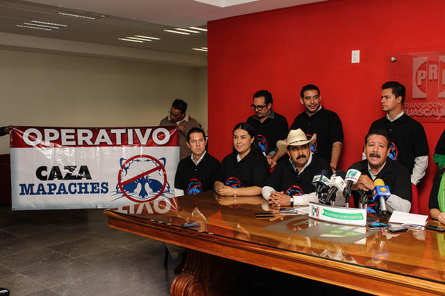 Lanza PRI operativo “caza mapaches” mientras la administración reparte despensas