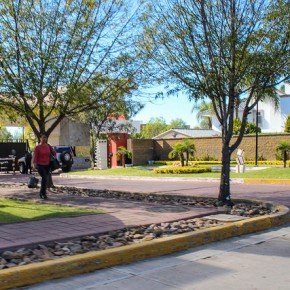 23407931189_dfa70ac2d9_z