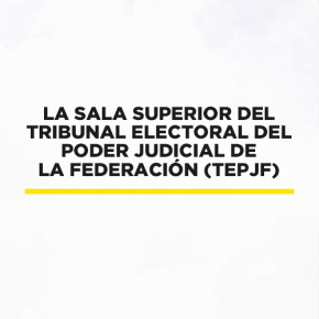 GIF requisitos candidatos indies