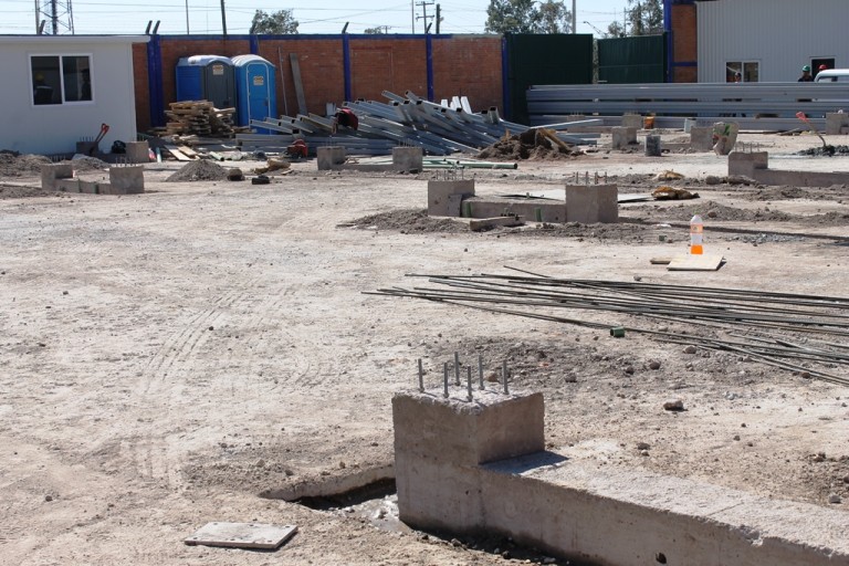 Se derrumbaron al menos 700 árboles para construir fraccionamiento en Jesús María