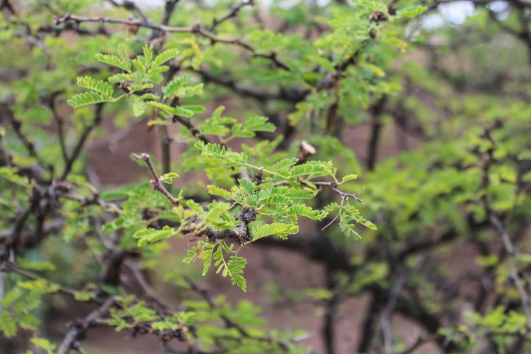 Fortalece municipio instalaciones para promover educación ambiental