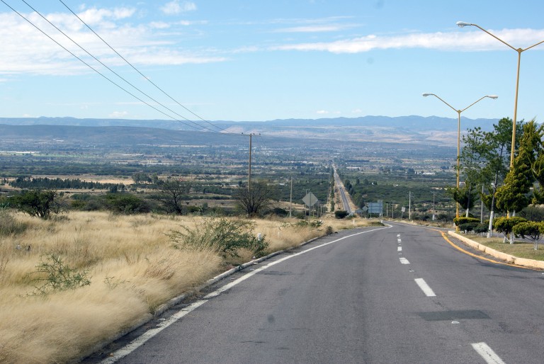 Nueve polleros fueron detectados en la región el año pasado