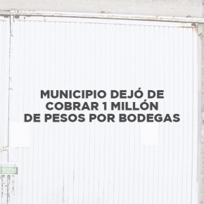 GIF Bodegas