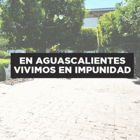 GIF Impunidad