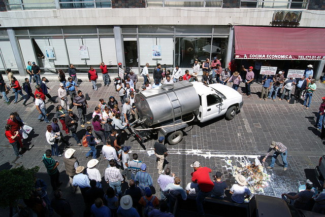 Profeco ofrece asesoría a lecheros para formalizar denuncia contra fórmulas lácteas