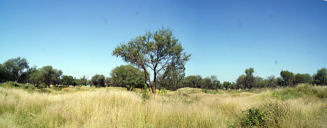 Medio ambiente no detendrá desarrollo económico del estado