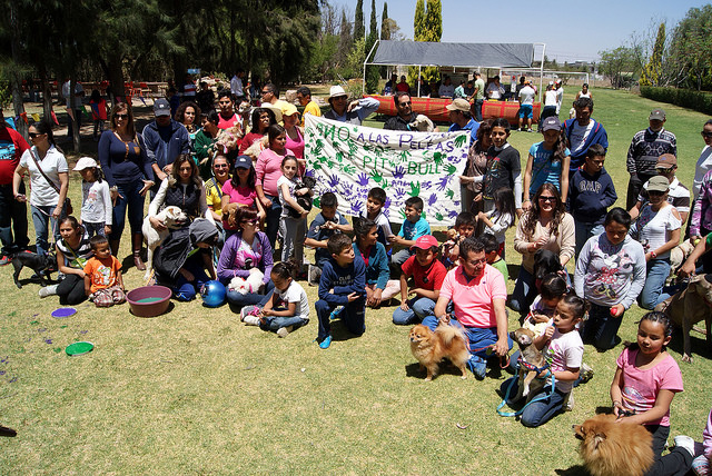 Se realizó el segundo Festival Canino