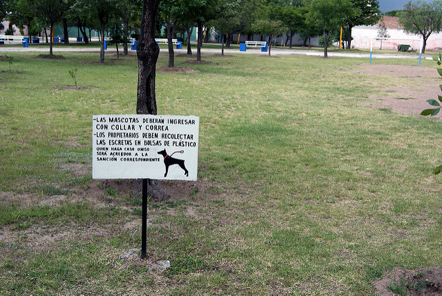 Parque para perros municipal se construirá en Pirules